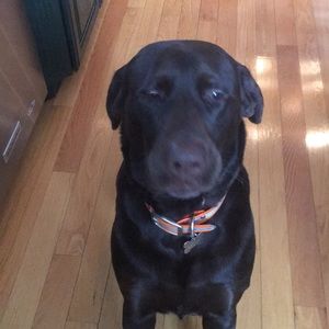 Meet your Posher, Kristine